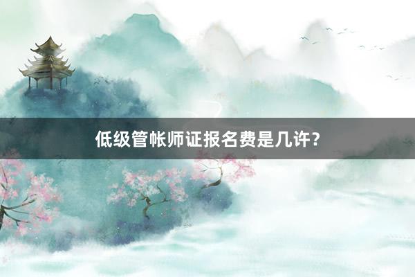 低级管帐师证报名费是几许？