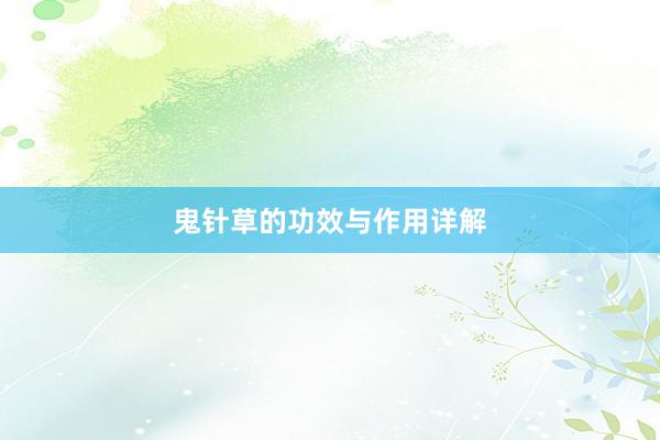 鬼针草的功效与作用详解